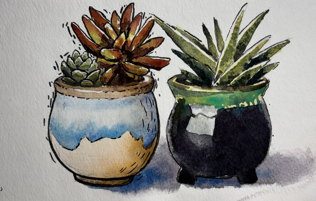 Succulents